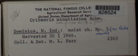 Image Associated With the Occurence